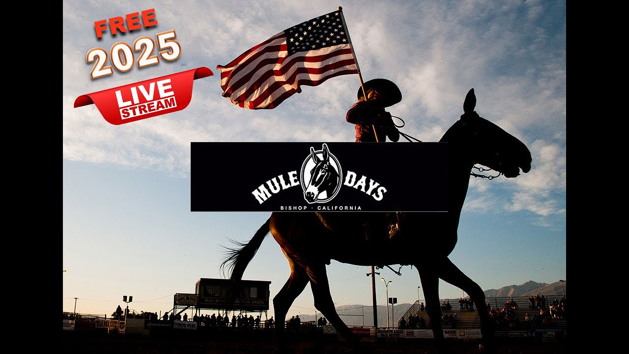 Mule Days 2025